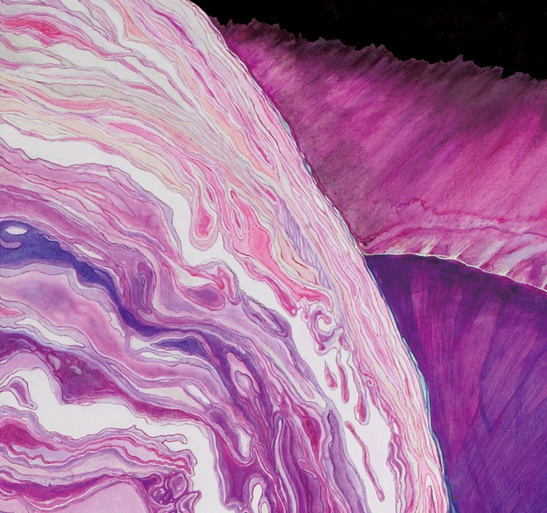 http://okamurart.jp/wp-content/uploads/2017/09/cabbage_02.jpg