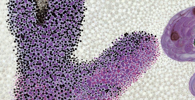 http://okamurart.jp/wp-content/uploads/2017/09/macrophage_03.jpg
